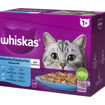 Whiskas Kissanruoka^Kissanruoka 12 X 85 G 1+ Kalasuosikit Hyytelössä