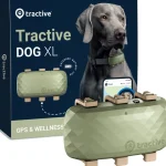 Tractive Koiratarvikkeet^Koiran GPS-paikannin / Aktiivisuuskaulapanta XL 4G