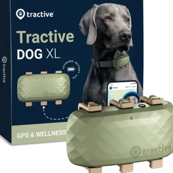 Tractive Koiratarvikkeet^Koiran GPS-paikannin / Aktiivisuuskaulapanta XL 4G