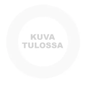 Petstages Koiratarvikkeet^Koiran Purulelu Orka Bone L