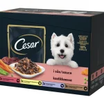 Cesar Koiranruoka^Koiranruoka 12 X 100 G Annospussilajitelma Kastikkeessa