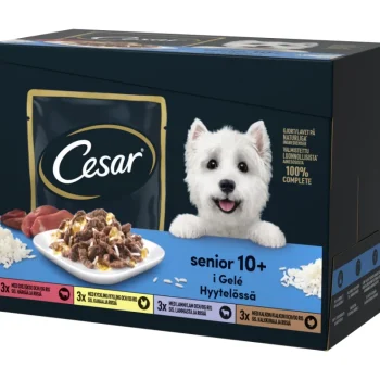 Cesar Koiranruoka^Koiranruoka 12 X 100 G Senior Annospussilajitelma Hyytelössä