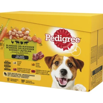Pedigree Koiranruoka^Koiranruoka 12 X 100 G Adult Kastikelajitelma