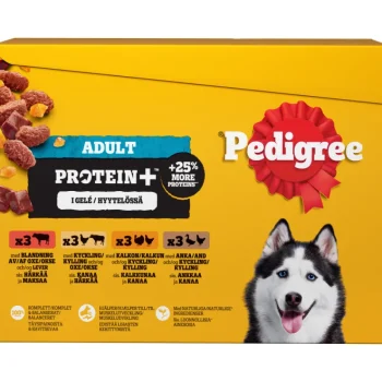 Pedigree Koiranruoka^Koiranruoka 12 X 85 G Protein+ Hyytelössä