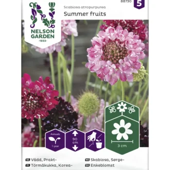 Nelson Garden Basic Kasvien Ja Nurmikonsiemenet-Koreatörmäkukka Siemen Summer Fruits