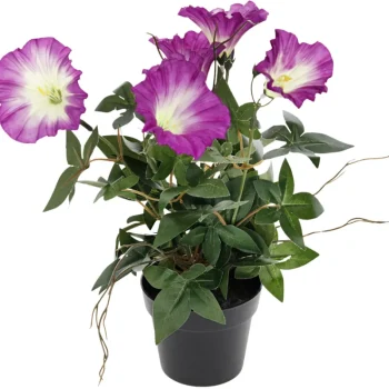 Kotikulta Tekokasvit-Koristekasvi Päivänsini 30 Cm Lila