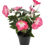 Kotikulta Tekokasvit-Koristekasvi Päivänsini 30 Cm Pinkki