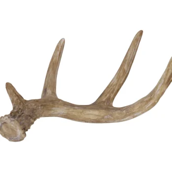 Kotikulta Maljakot Ja Koriste-esineet-Koristesarvi 17,9 Cm