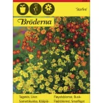 Bröderna Nelsons Kasvien Ja Nurmikonsiemenet-Kääpiösamettikukka Starfire Mixed Siemen