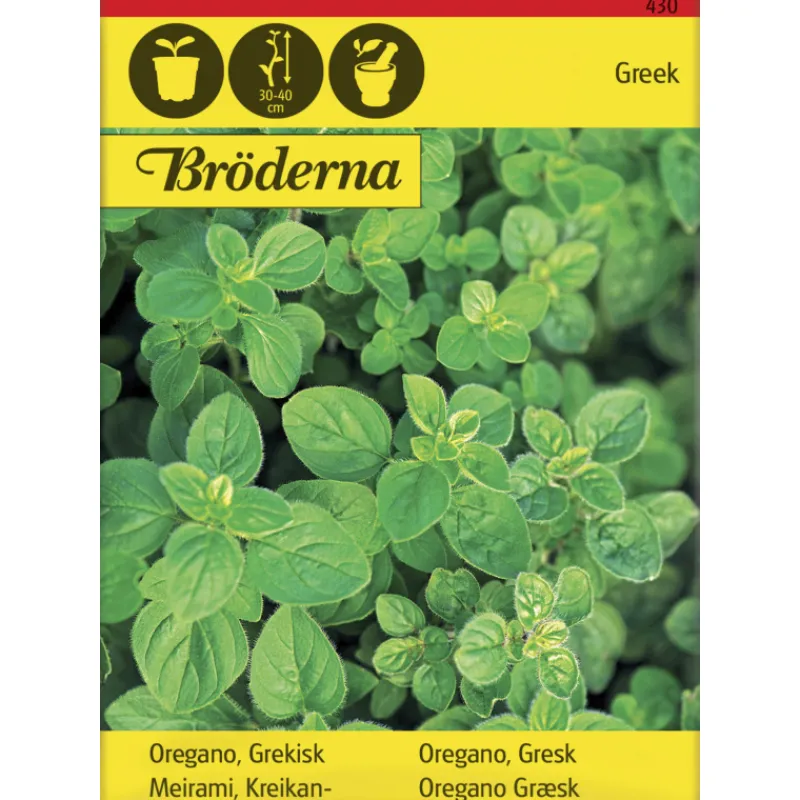 kreikanmeirami-siemen-brderna-ZOAQfzHk-0.webp Bröderna Nelsons Kasvien Ja Nurmikonsiemenet-Kreikanmeirami Siemen