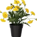 Kotikulta Tekokasvit-Krysanteemi Ruukussa 27 Cm Keltainen