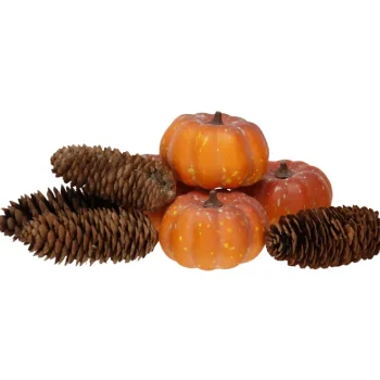 Kotikulta Maljakot Ja Koriste-esineet-Kurpitsa- Ja Käpypussi