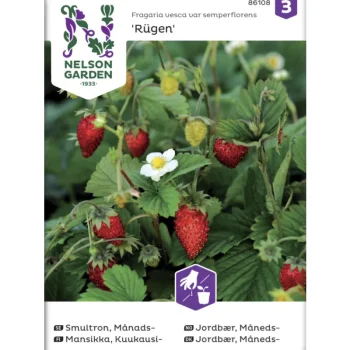 Nelson Garden Basic Kasvien Ja Nurmikonsiemenet-Kuukausimansikka Siemen Rügen