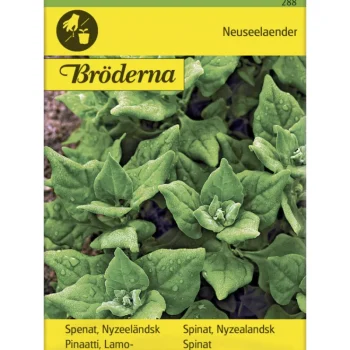 Bröderna Nelsons Kasvien Ja Nurmikonsiemenet-Lamopinaatti Uudenseelannin Siemen