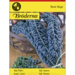 Bröderna Nelsons Kasvien Ja Nurmikonsiemenet-Lehtikaali Black Magic Siemen