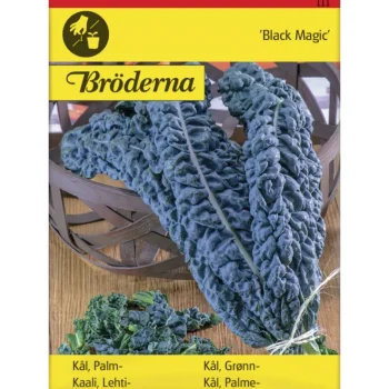 Bröderna Nelsons Kasvien Ja Nurmikonsiemenet-Lehtikaali Black Magic Siemen