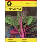 Bröderna Nelsons Kasvien Ja Nurmikonsiemenet-Lehtimangoldi Rhubarb Chard Siemen