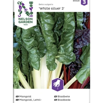 Nelson Garden Basic Kasvien Ja Nurmikonsiemenet-Lehtimangoldi Siemen White Silver 2