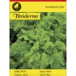 Bröderna Nelsons Kasvien Ja Nurmikonsiemenet-Lehtisalaatti Australialainen Siemen