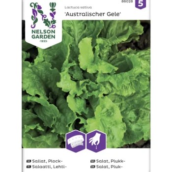 Nelson Garden Basic Kasvien Ja Nurmikonsiemenet-Lehtisalaatti Siemen Australialainen Kylvönauha