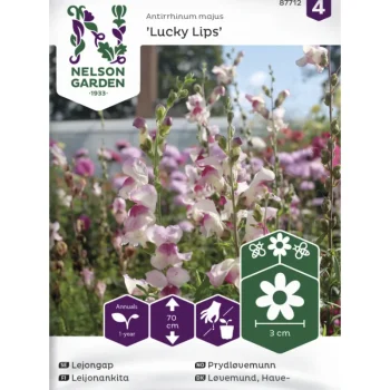 Nelson Garden Basic Kasvien Ja Nurmikonsiemenet-Leijonankita Siemen Lucky Lips