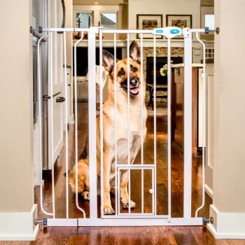 Carlson Koiratarvikkeet^Lemmikkiportti 104 Cm Korkea