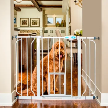 Carlson Koiratarvikkeet^Lemmikkiportti Leveä