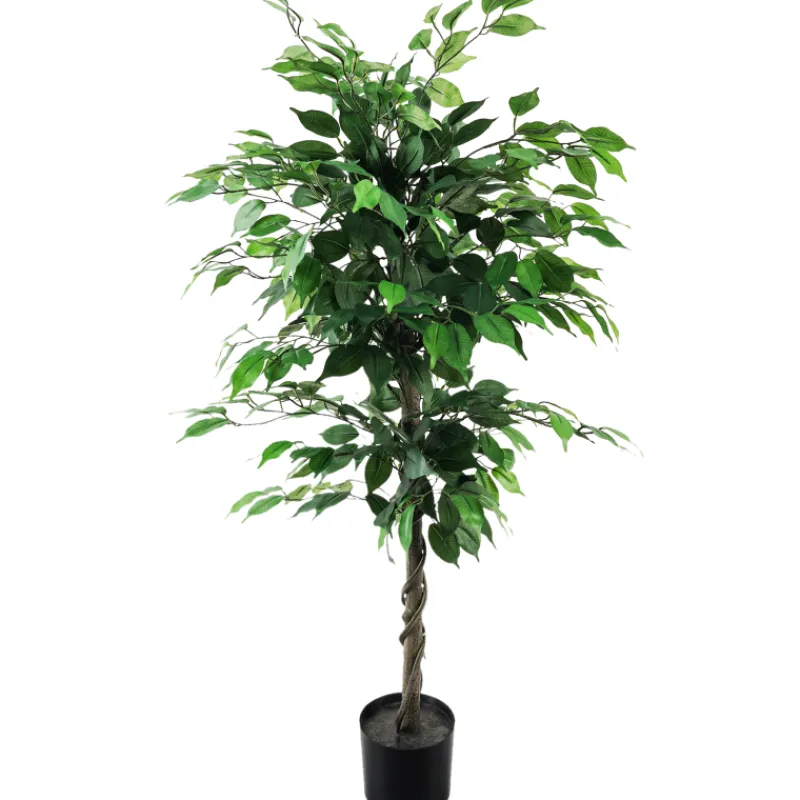 limoviikuna-kotikulta-120-cm-CvwDadQq-0.webp Kotikulta Tekokasvit-Limoviikuna 120 Cm