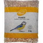 maaphkint-real-bird-5-kg-yzpvGaET-0.webp