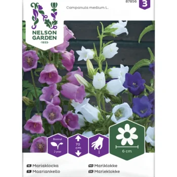 Nelson Garden Basic Kasvien Ja Nurmikonsiemenet-Maariankello Siemen Seos