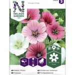 Nelson Garden Basic Kasvien Ja Nurmikonsiemenet-Maloppi Siemen