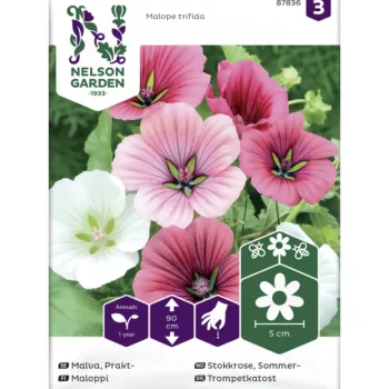 Nelson Garden Basic Kasvien Ja Nurmikonsiemenet-Maloppi Siemen