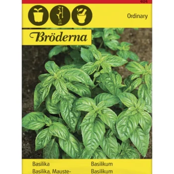 Bröderna Nelsons Kasvien Ja Nurmikonsiemenet-Maustebasilika Siemen