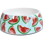 Real Dog Koiratarvikkeet^Melamiinikulho 500 Ml Vesimeloni M