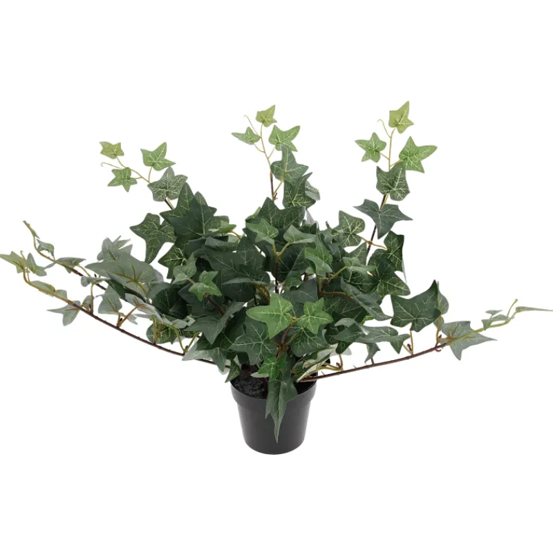 muratti-kotikulta-23-cm-ruukus-AewmBPGq-0.webp Kotikulta Tekokasvit-Muratti 23 Cm Ruukussa