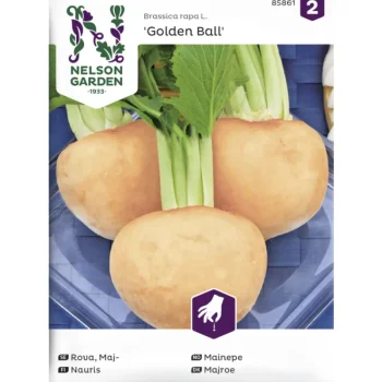 Nelson Garden Basic Kasvien Ja Nurmikonsiemenet-Nauris Siemen Kultapallo Golden Ball