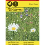 Bröderna Nelsons Kasvien Ja Nurmikonsiemenet-Niittykukkaseos Siemen