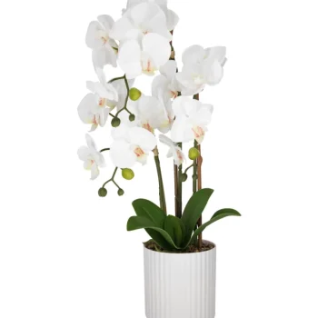 Kotikulta Tekokasvit-Orkidea 3-vanainen Pinkki