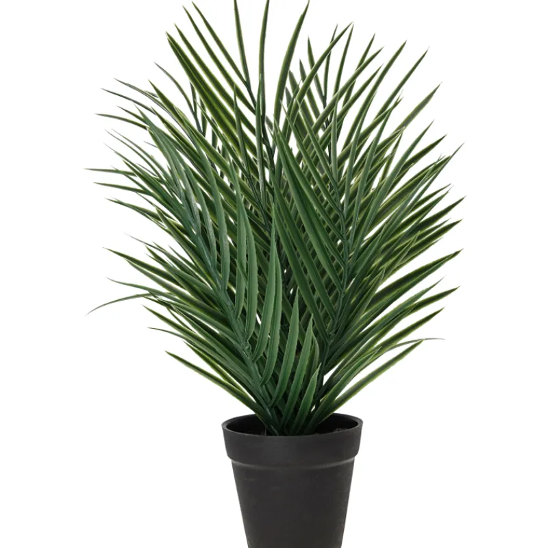 palmu-kotikulta-48-cm-nTOyorkO-0.webp Kotikulta Tekokasvit-Palmu 48 Cm