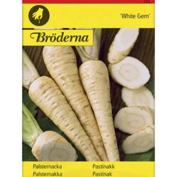 Bröderna Nelsons Kasvien Ja Nurmikonsiemenet-Palsternakka White Gem Siemen