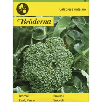 Bröderna Nelsons Kasvien Ja Nurmikonsiemenet-Parsakaali Calabrese Natalino Siemen