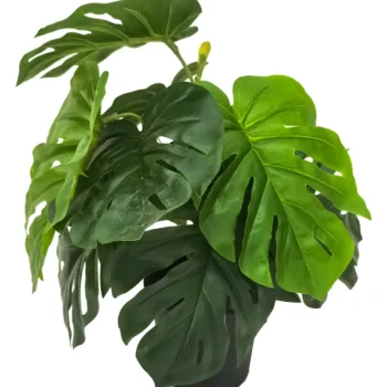 Kotikulta Tekokasvit-Peikonlehti 30 Cm Vihreä