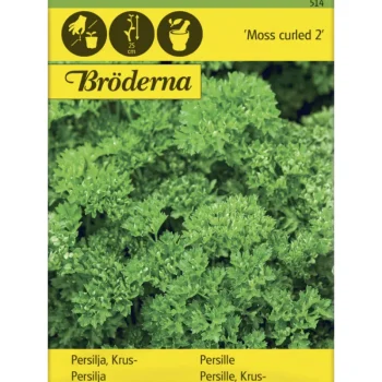 Bröderna Nelsons Kasvien Ja Nurmikonsiemenet-Persilja Moss Curled 2 Siemen