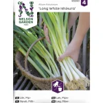Nelson Garden Basic Kasvien Ja Nurmikonsiemenet-Pillisipuli Siemen Long White Ishikura