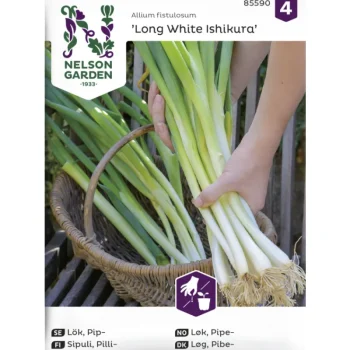 Nelson Garden Basic Kasvien Ja Nurmikonsiemenet-Pillisipuli Siemen Long White Ishikura
