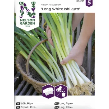 Nelson Garden Basic Kasvien Ja Nurmikonsiemenet-Pillisipuli Siemen Kylvönauha
