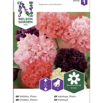 Nelson Garden Basic Kasvien Ja Nurmikonsiemenet-Pioniunikko Siemen Väriseos