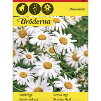 Bröderna Nelsons Kasvien Ja Nurmikonsiemenet-Päivänkakkara Maikönigin Siemen