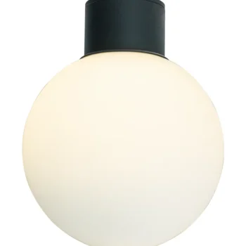 Aneta Lighting Ulkovalaisimet-Plafondi Saltvik Ulos Musta/valkoinen