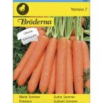 Bröderna Nelsons Kasvien Ja Nurmikonsiemenet-Porkkana Nantaise 2 Kylvönauha Siemen